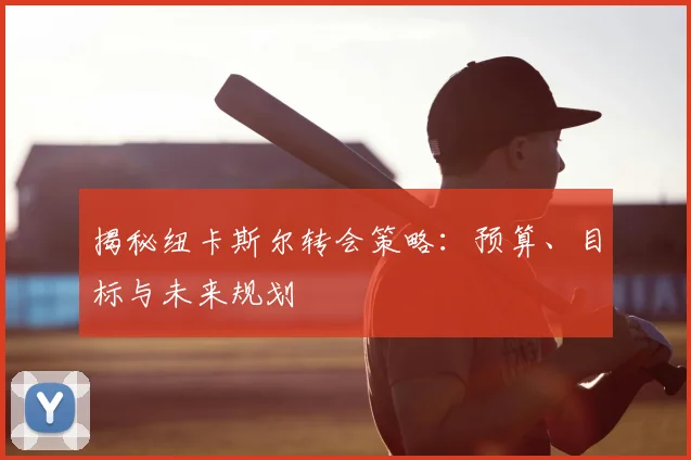 揭秘纽卡斯尔转会策略：预算、目标与未来规划