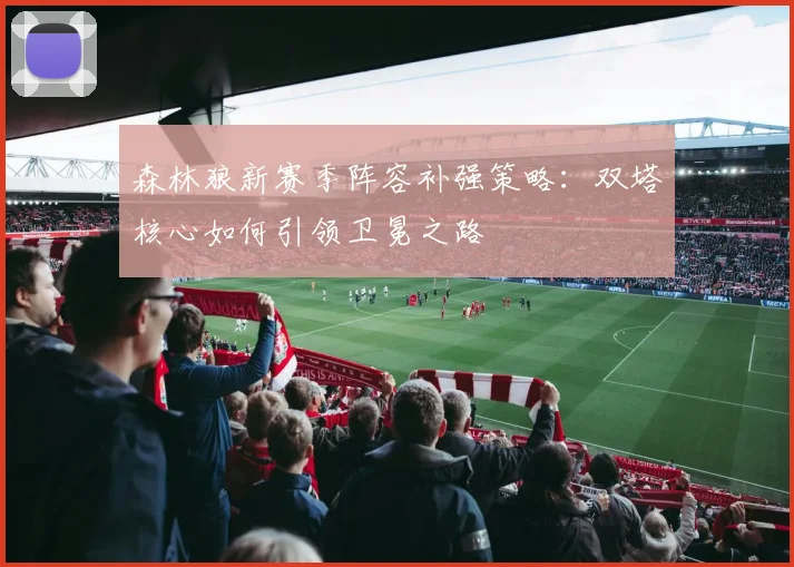 森林狼新赛季阵容补强策略：双塔核心如何引领卫冕之路