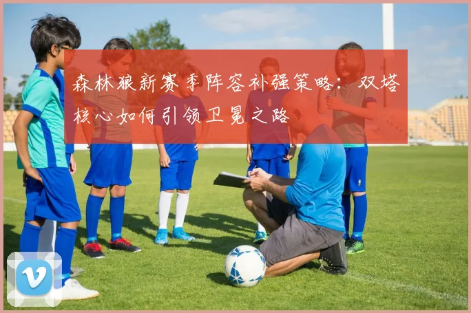 森林狼新赛季阵容补强策略：双塔核心如何引领卫冕之路